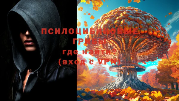 прущая мука Богородицк