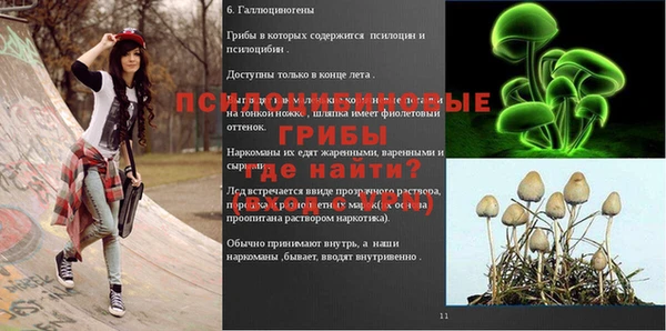 эйфоретик Белокуриха