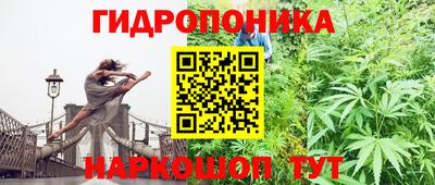 гашиш Тара