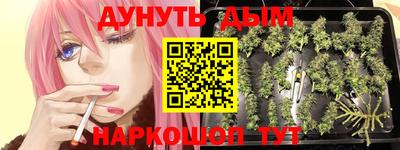 гашиш Тара