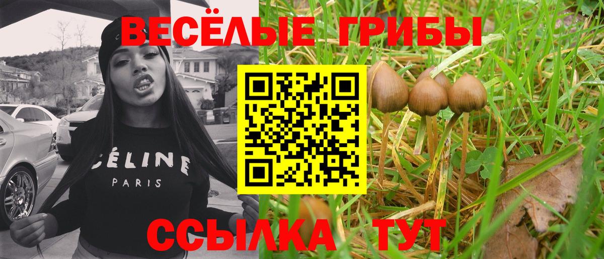 Псилоцибиновые грибы мухоморы Свободный