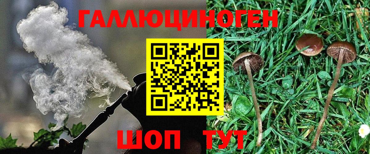 Галлюциногенные грибы Psilocybine cubensis  Вход с VPN  как найти закладки  Свободный 